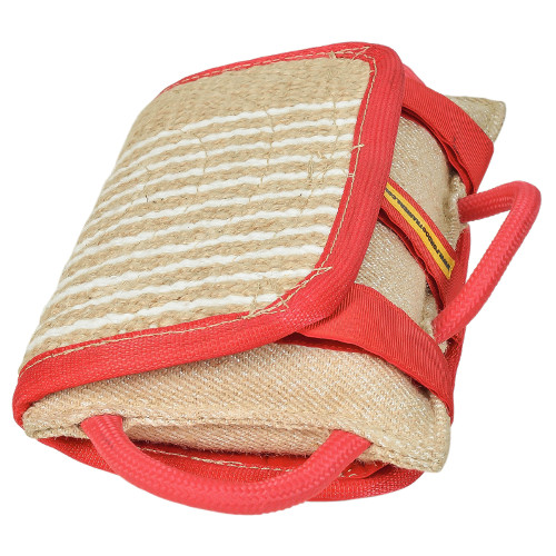 Bite Pillow Jute Bright Summer Colors - Click Image to Close