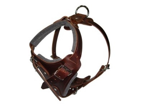 Brown Padded Leather Dog Harness - Click Image to Close