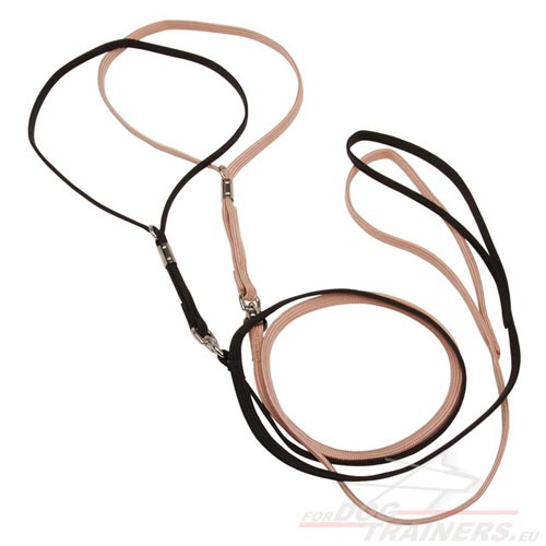 Nylon Set of Lead and Collar for Dog Show Participation - Click Image to Close