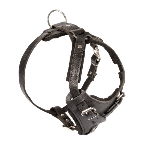 Agitation Attack Leather Dog Harness 2022 ▼ - Click Image to Close