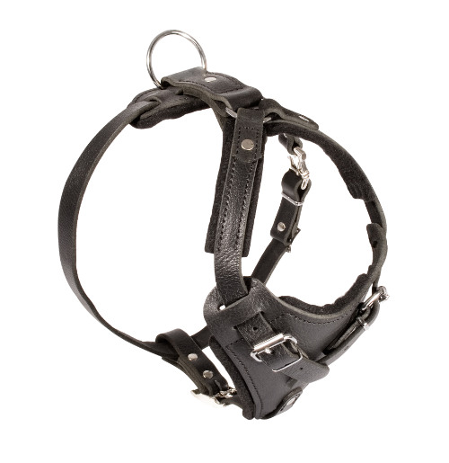 Agitation Attack Leather Dog Harness 2025 ▼ - Click Image to Close