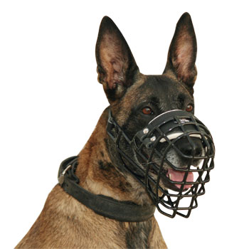 Wire Dog Muzzle Perfect for Malinois, Covered with Black Rubber - Click Image to Close