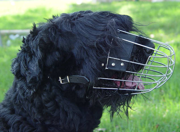 Black Russian Terrier Large Wire Basket dog muzzle - Click Image to Close