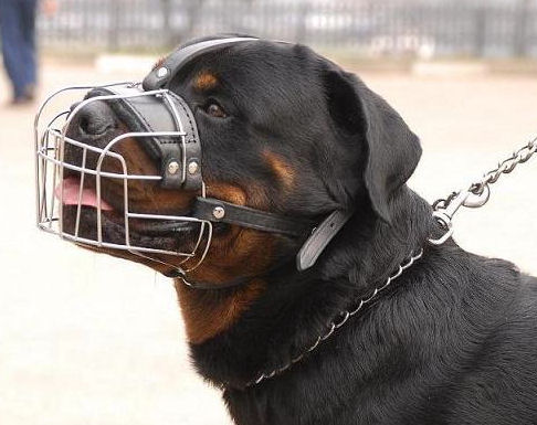 Rottweiler Wire Basket Dog Muzzle - Click Image to Close