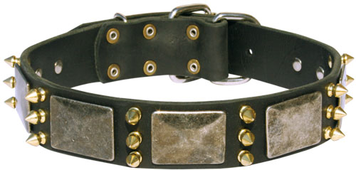 Royal Dog Collar massive plates and spikes for Dogue De Bordeaux - Click Image to Close