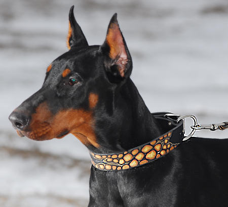 Hundehalsbands Dog collar Collier de chien