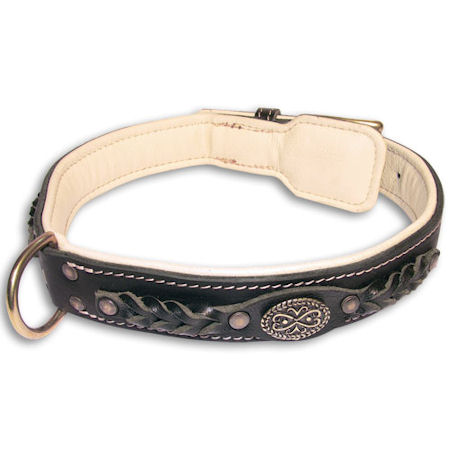 Labrador Nappa Padded Handmade Leather Dog Collar - Click Image to Close