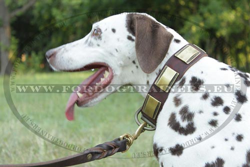 Large Leather Dog Collar for Dalmatian - Click Image to Close