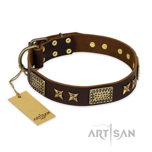 Brown Dog Collar Artisan "Sparkling Bronze" FDT Artisan - Click Image to Close