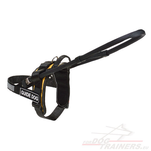 Large Guide Dog Harness with Handle - Click Image to Close