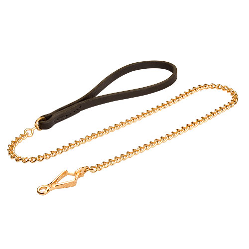 Gilded Chain Leash for Small Dogs