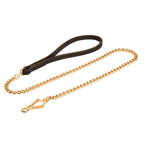 Honden Leiband met Ketting