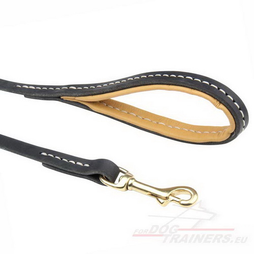 Durable
Leather Lead
