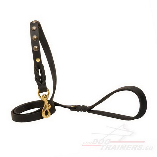 Correa Cuero de Entrenamiento para Perros