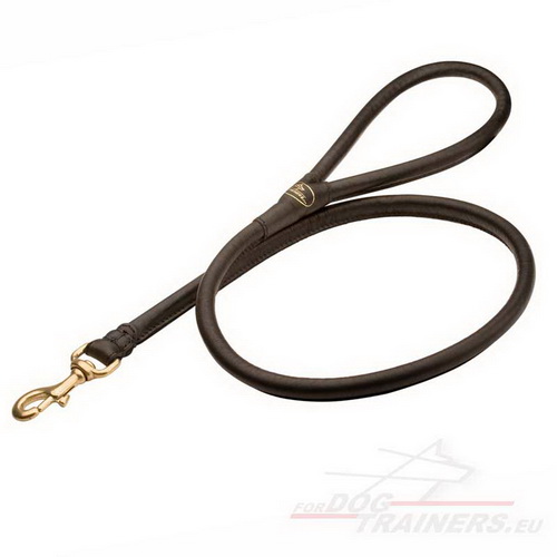 La correa del perro de cuero muy cómodo y todo el año