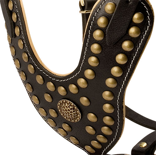 Studded leather dog harness for big dog