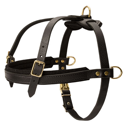 Multifunctional pulling dog harness for German Shepherd