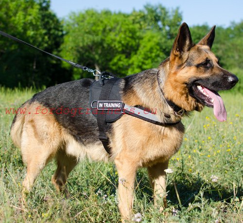 Nylon Dog Harness Universal Multifunctional ★ - Click Image to Close