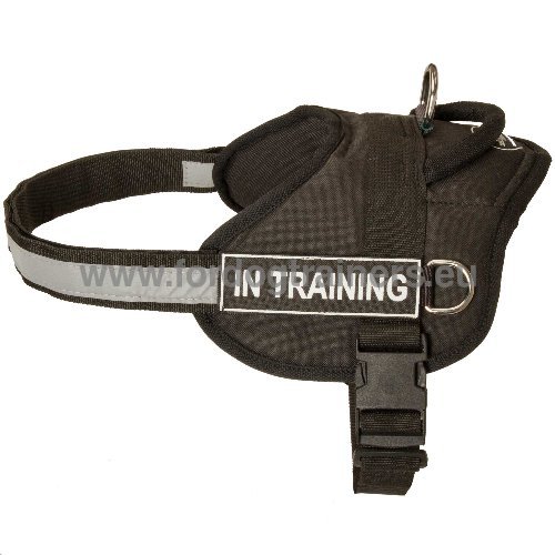 Nylon Dog Harness | Multi-purposed Dog Harness ★ - Click Image to Close