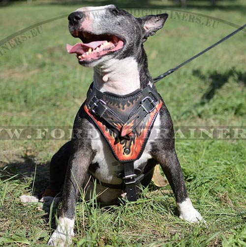 Flame Design Leather Dog Harness - Click Image to Close