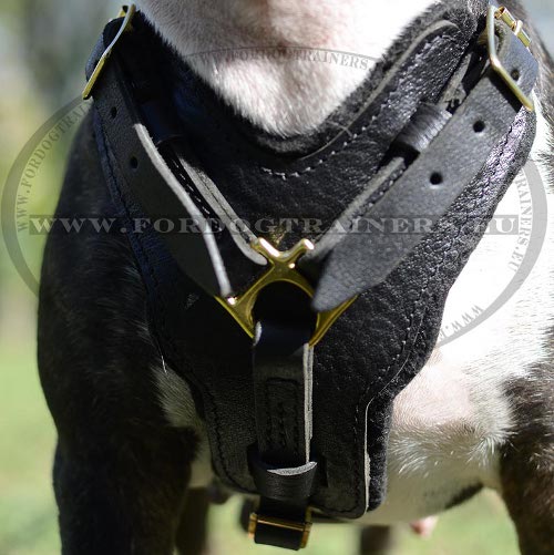 Padded Dog Harness, Exclusive Leather Handcrafted ! ❦ - Click Image to Close