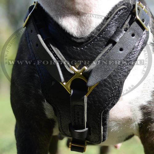 Padded Dog Harness, Exclusive Leather Handcrafted ! ❦ - Click Image to Close