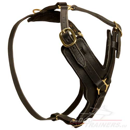 Padded Dog Harness | Exclusive Leather Handcrafted ! ❦ - Click Image to Close