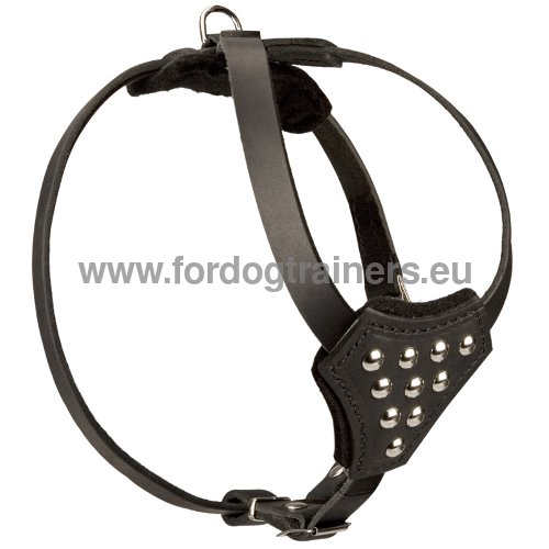 Leather Dog Harness with Studs for Small Dogs ✧ - Click Image to Close