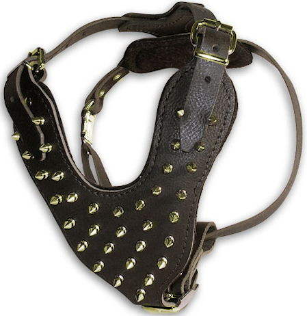Harness with Spikes for Molossers | Harness for Big Dog ⁂ - Click Image to Close