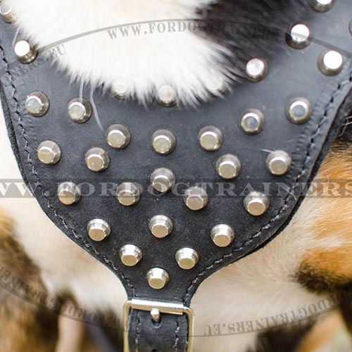 Harness for Stylish Dogs Studded ⓒⓞⓞⓛ - Click Image to Close