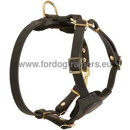 Harness for Small Dogs | Leather Puppy Harness ⚘ - Click Image to Close