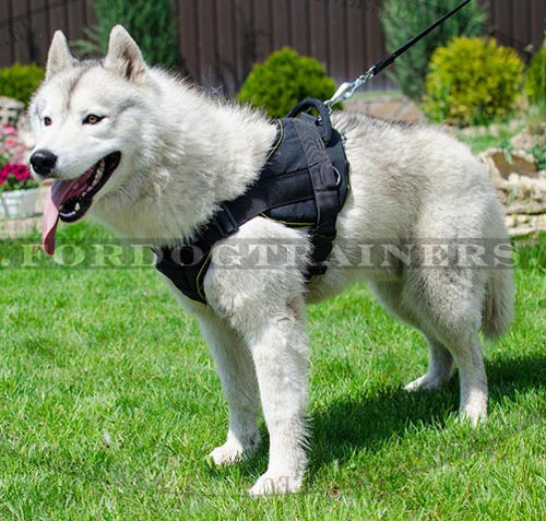 Multifunctional Dog Harness for Husky Nylon Resistant ❺ - Click Image to Close