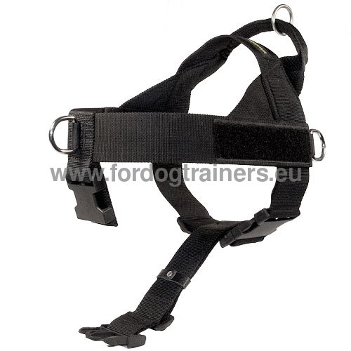 Tracking Harness in Nylon for Your Dog | K9 Best Harness! - Click Image to Close