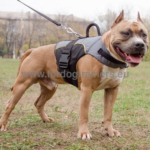 Amstaff Nylon Outdoor dog harness for tracking with extra handle - Click Image to Close