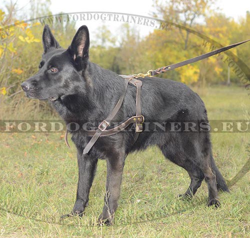 Pulling Dog Harness for German Shepherd new collection! - Click Image to Close