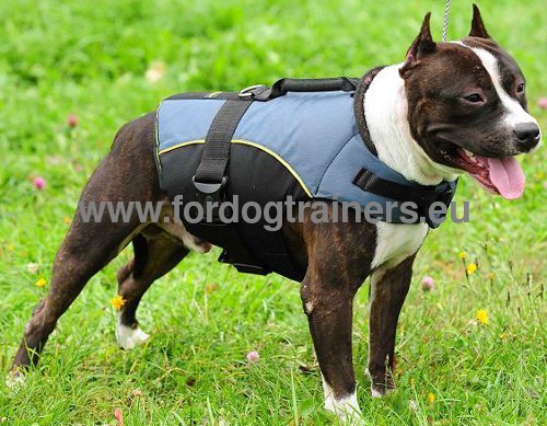 Vest Harness Nylon for Pitbull | Winter Coat Harness ❆ - Click Image to Close