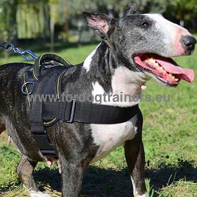 Dog Harness with Handle for Bull Terrier - Click Image to Close