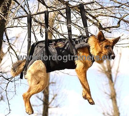 Arnes de policia para perros