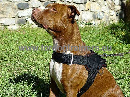 Pitbull Nylon Dog Harness for Tracking and Pulling ➠ - Click Image to Close