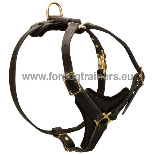 Multifunctional Dog Harness for Tracking ◆ - Click Image to Close
