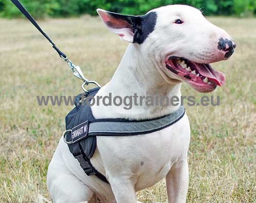 Nylon reflective multi-purpose dog K9 harness for Bull Terrier - Click Image to Close