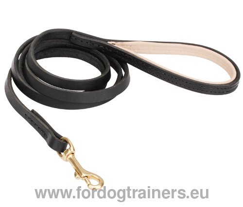 Leather Dog Leash for Training & Walking | Handmade Lead - Click Image to Close