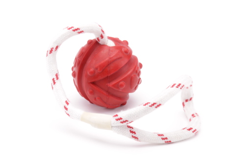 Ball Toy for Large Dogs on String - Click Image to Close