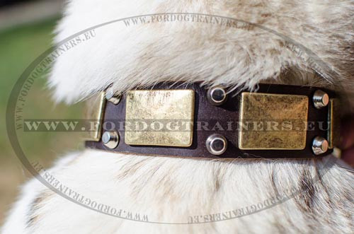 Dog Collar with Old Brass Plates for Laika - Click Image to Close