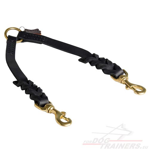 Coupler Leash for Two Dogs - Click Image to Close