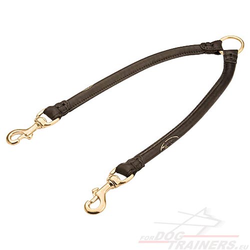 Coupler Leash for Two Big Strong Dogs - Click Image to Close
