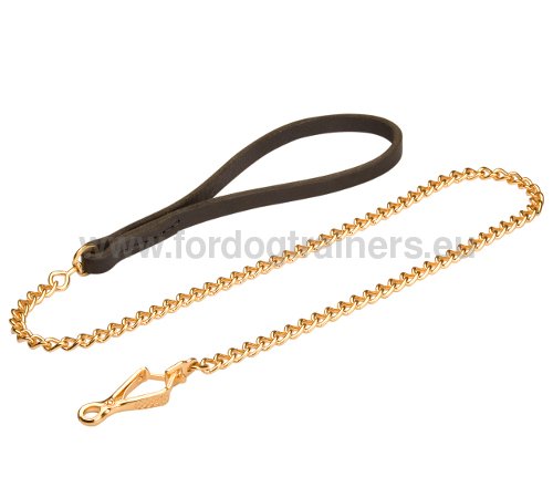 Chain Leash for Small Dogs, Luxury Chain - Click Image to Close