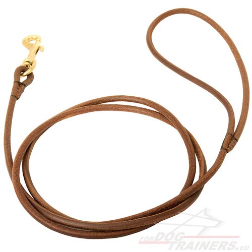 Dog Leash of Soft Leather for Small Dogs | Dog Show Leash ϶ - Click Image to Close