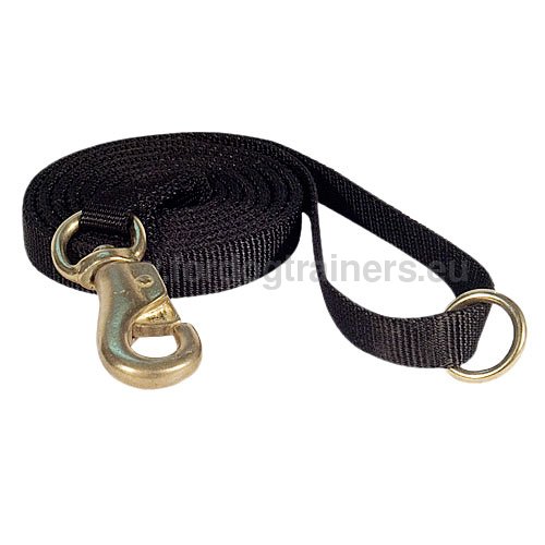 Dog Leash NYLON for Active Dogs, Extra Strong Leash 2023 - Click Image to Close