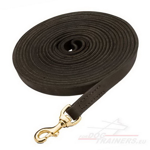 Professional Lead, Long Leather Dog Leash for Large Breeds - Click Image to Close